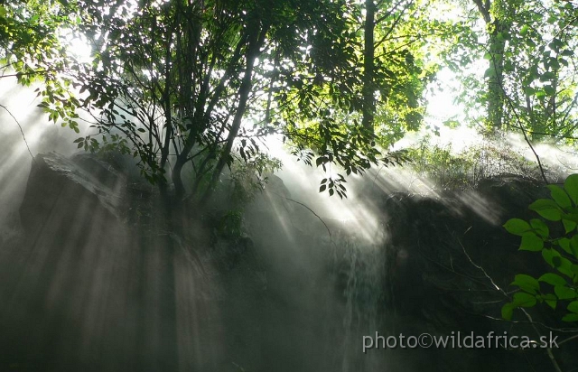 congo forest 0.jpg - Light effects.